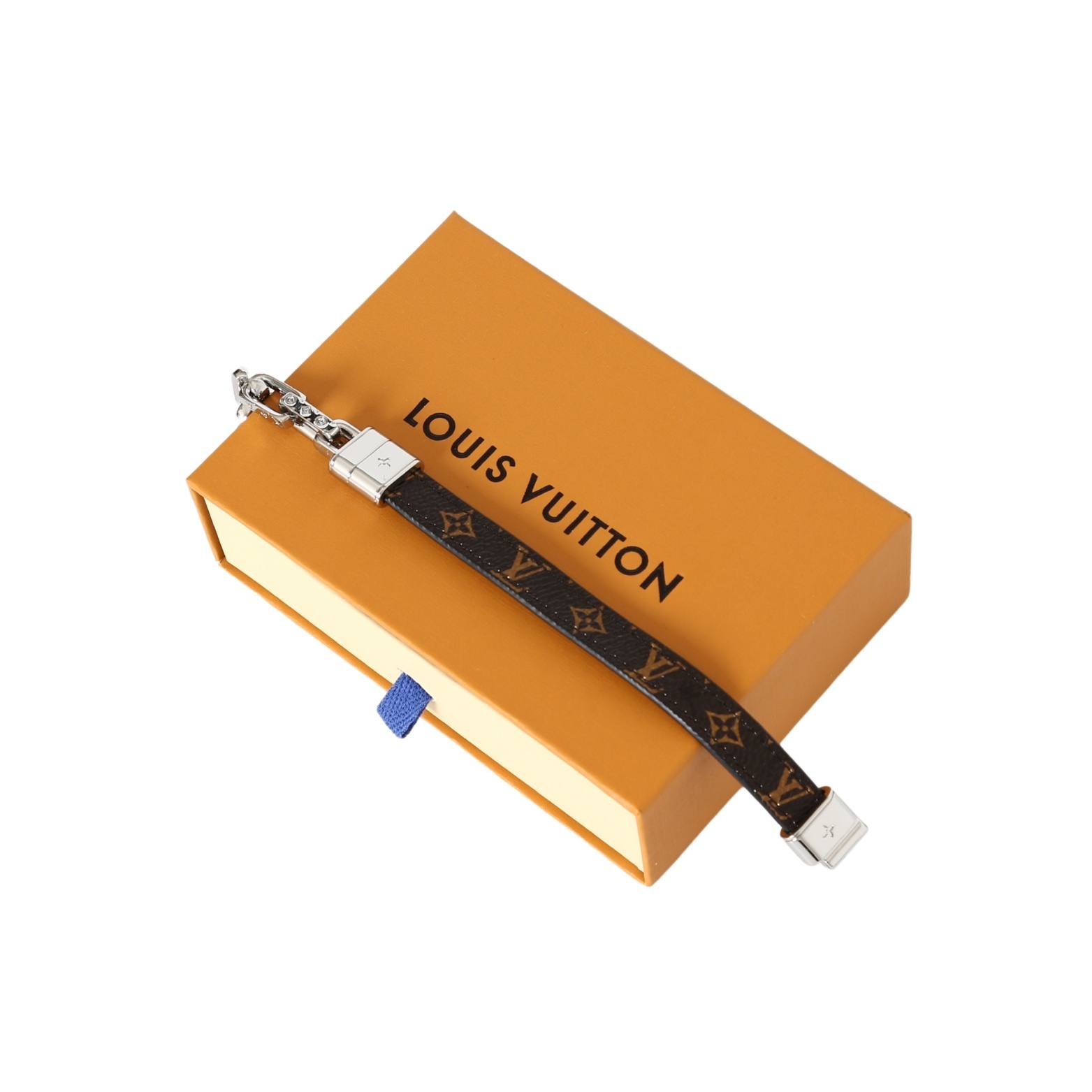 Louis Vuitton Accessories SL0004