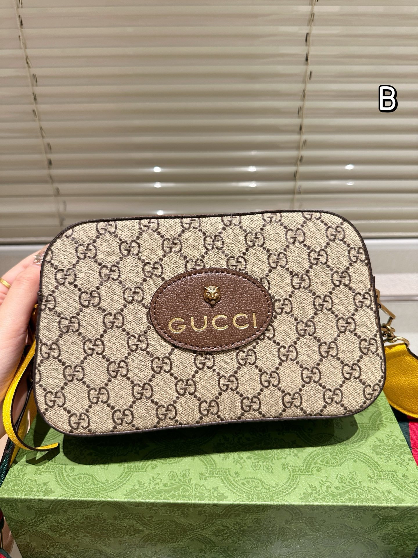 Gucci Bag BG868048