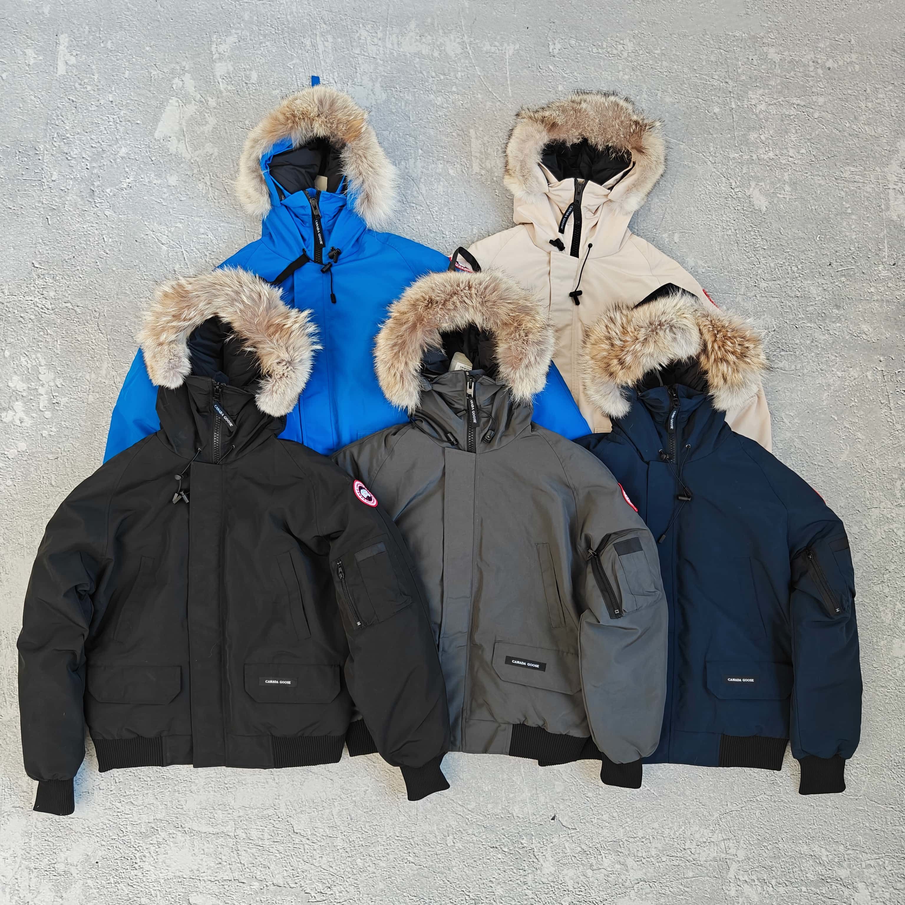 1to1reps Jackets fashion reps product 五色短款连帽羽绒服-加 528975