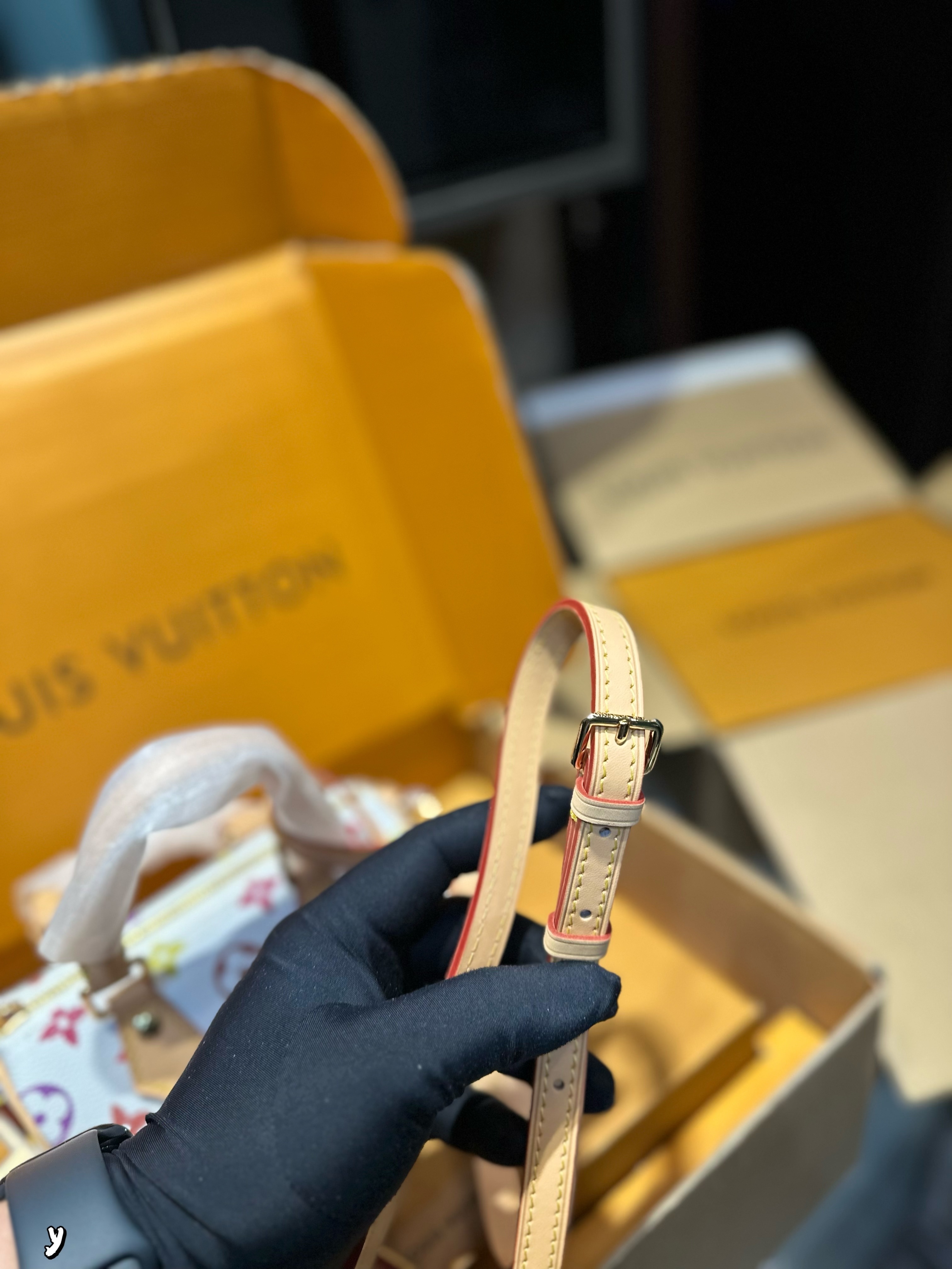 Louis Vuitton Bag BG868007