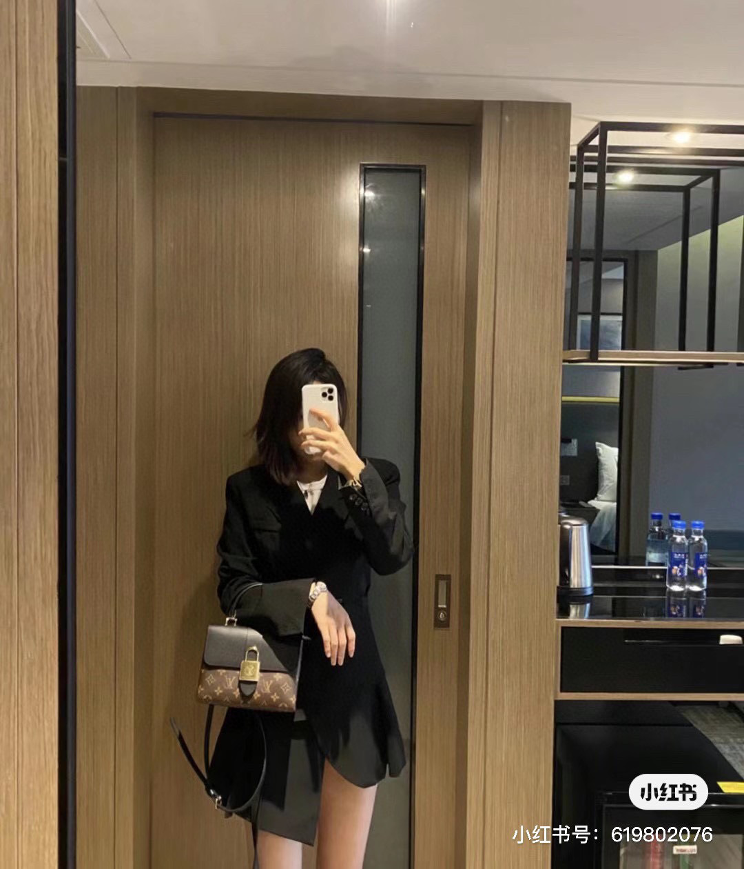 Louis Vuitton Bag BG868005
